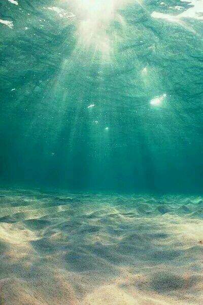 八年独角戏沈念傅景淮